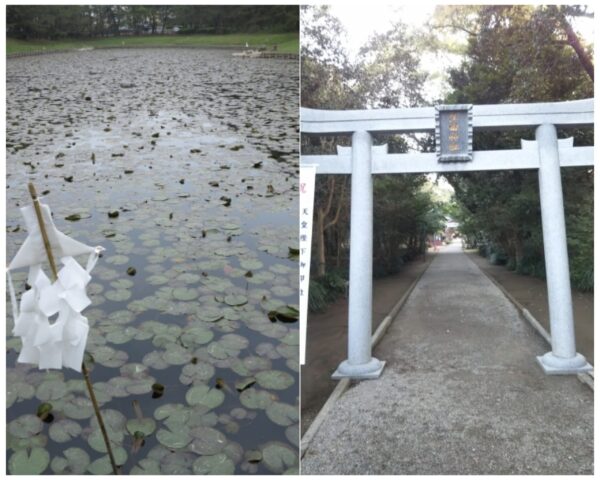 宮崎避暑地江田神社