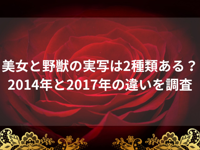 美女と野獣の実写は2種類ある？2014年と2017年の違いを調査