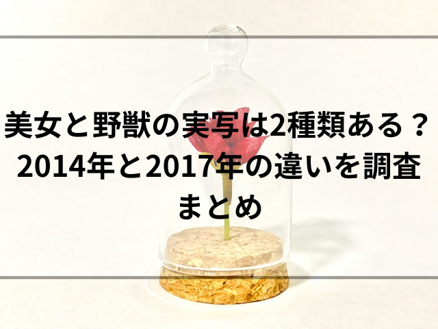 美女と野獣の実写は2種類ある？2014年と2017年の違いを調査