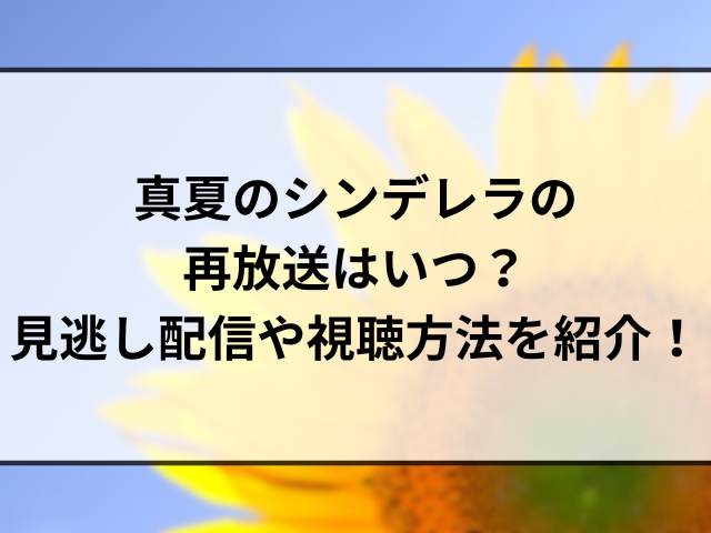 真夏のシンデレラの再放送はいつ？見逃し配信や視聴方法を紹介！